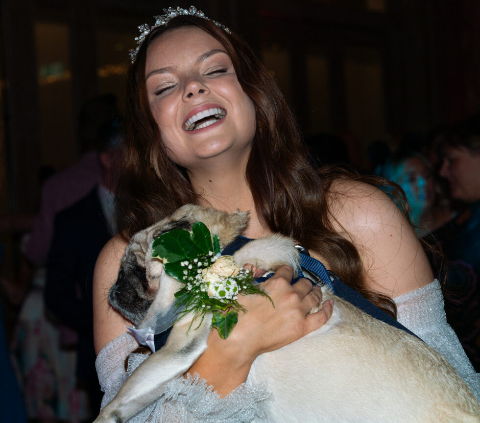 Bride throwing her head back laughing while cuddling a small pug wearing a flower collar